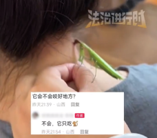 游戏专题 第60页