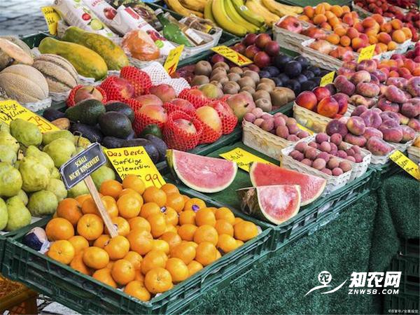 高价进口水果\